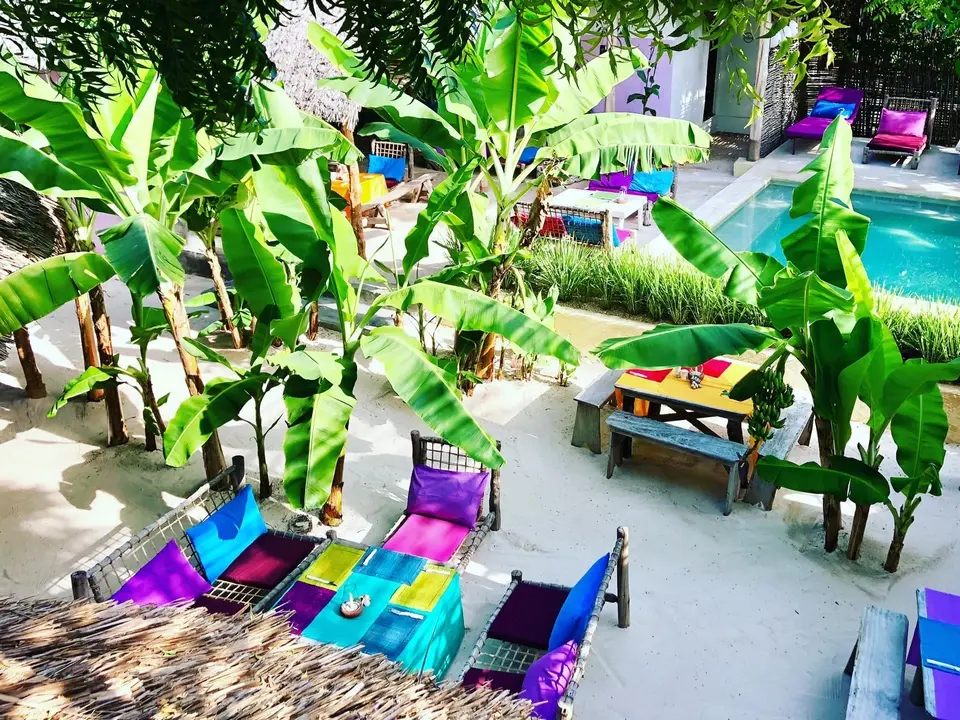 Jardins tropicaux et espace piscine